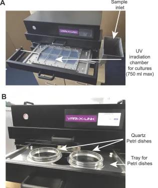 2 photos of the Vari-X-link illustrating the sample inlet, UV irradiation chamber for cultures (750ml max), quartz petri dishes and the tray for the petri dishes 