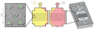 Microfluidics workflow