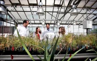 A group of plant science students of diverse background and heritage in a research glasshouse facility.