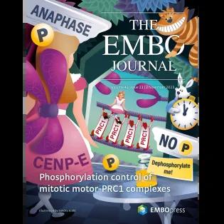 EMBO journal cover image, issue November 2023 featuring Welburn lab work