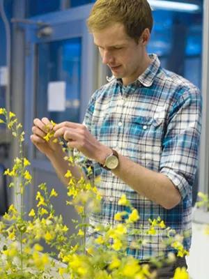 Photo of Alex Twyford with Mimulus