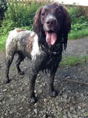 LittleLab-Scout-Headshot