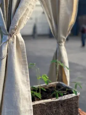 Irene’s recent artwork presented at Edge of Matter, which has been developed through her time as a PhD student in both Biology and Art schools.