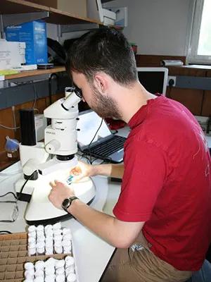 Photo of Michael Jardine looking into a microscope