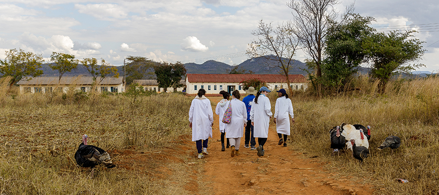 Field studies | Parasite Immuno-epidemiology Group (P.I.G) | Biology