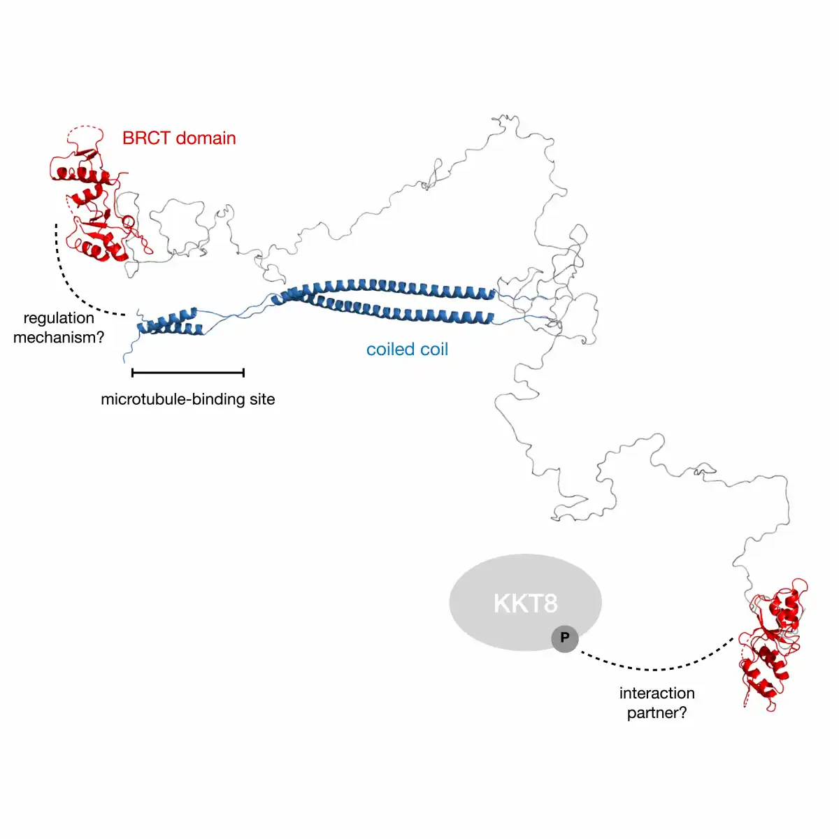 Research illustration from lab paper