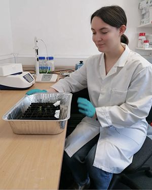 Photo of Amy Newell working in the lab