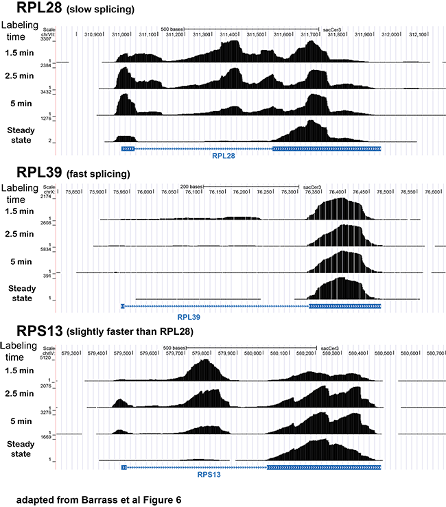 Image from Beggs paper Genome Biology 2015