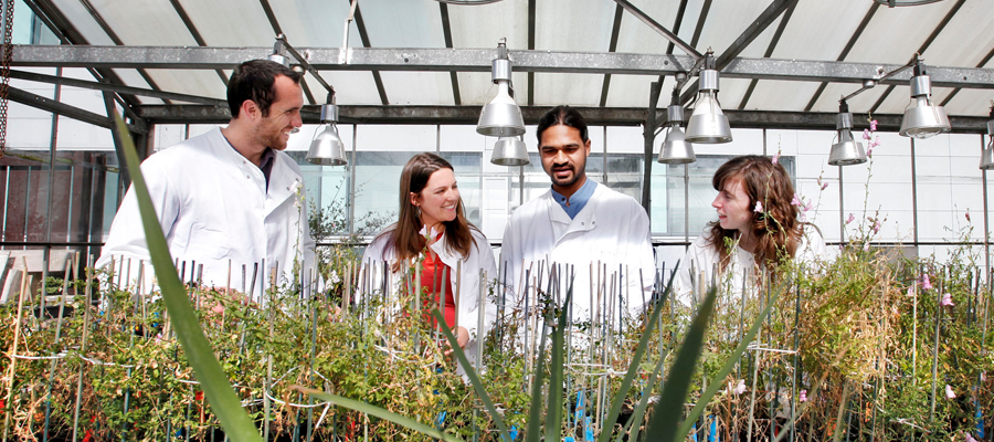 Biological Sciences Glasshouses provide plant growth facilities. [Paul Dodds]