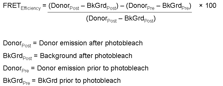 Photobleaching equation