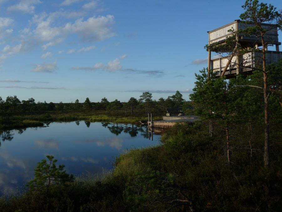 bog estonia platform