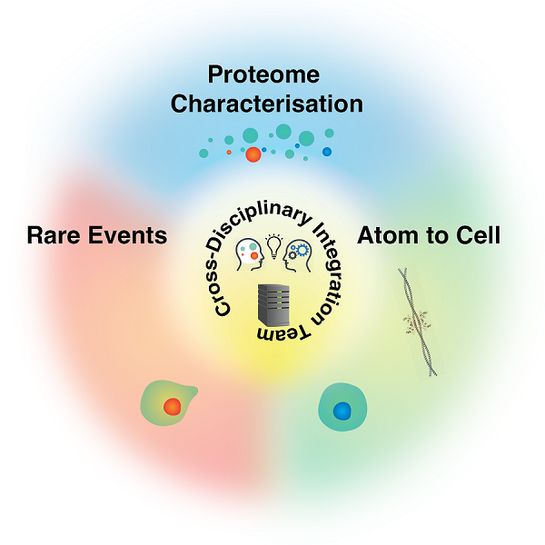 The new platform will examine understudied proteins, visualise the inner workings of cells and explore rare cell events