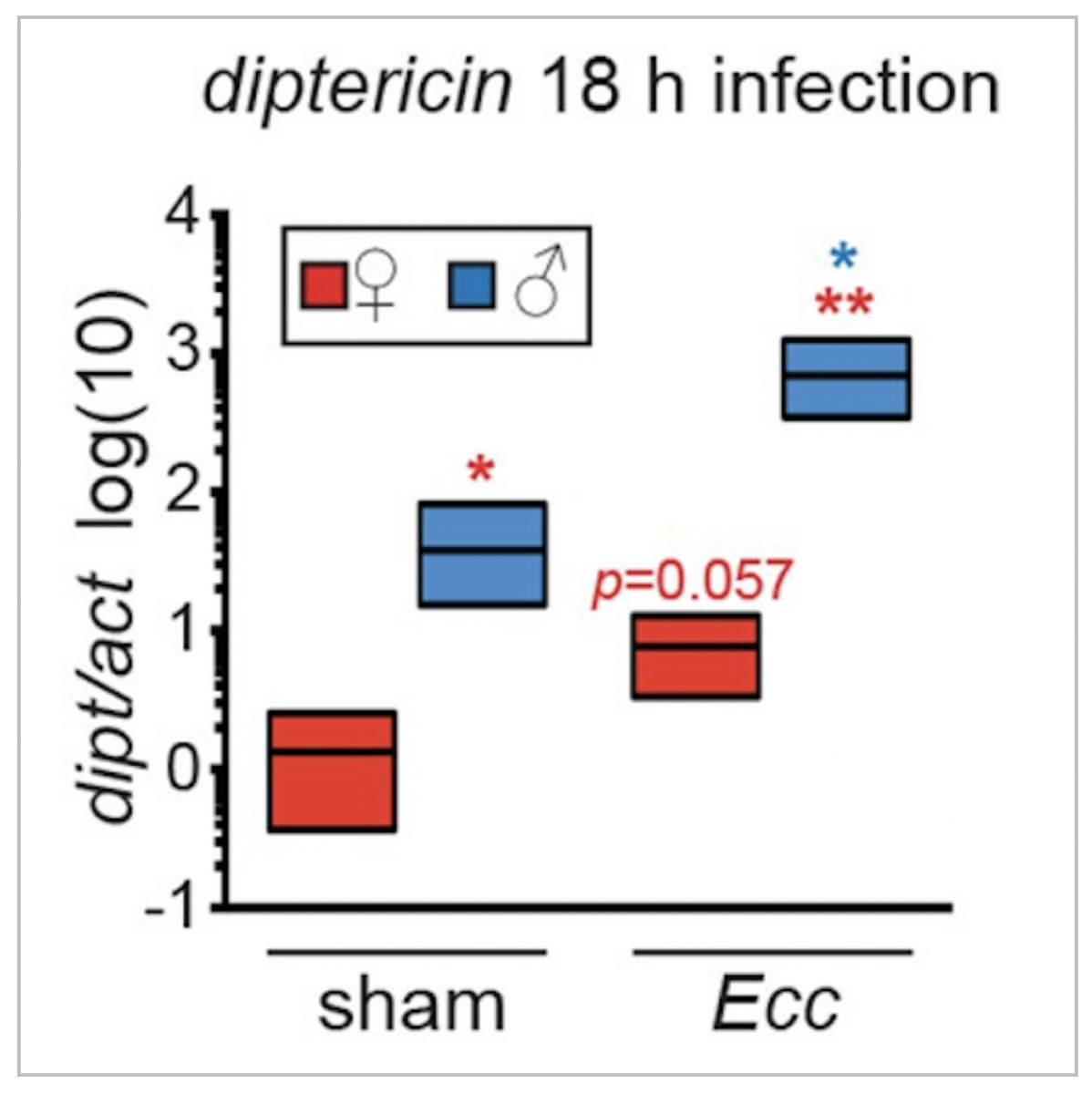 Diptericin 18 h infection