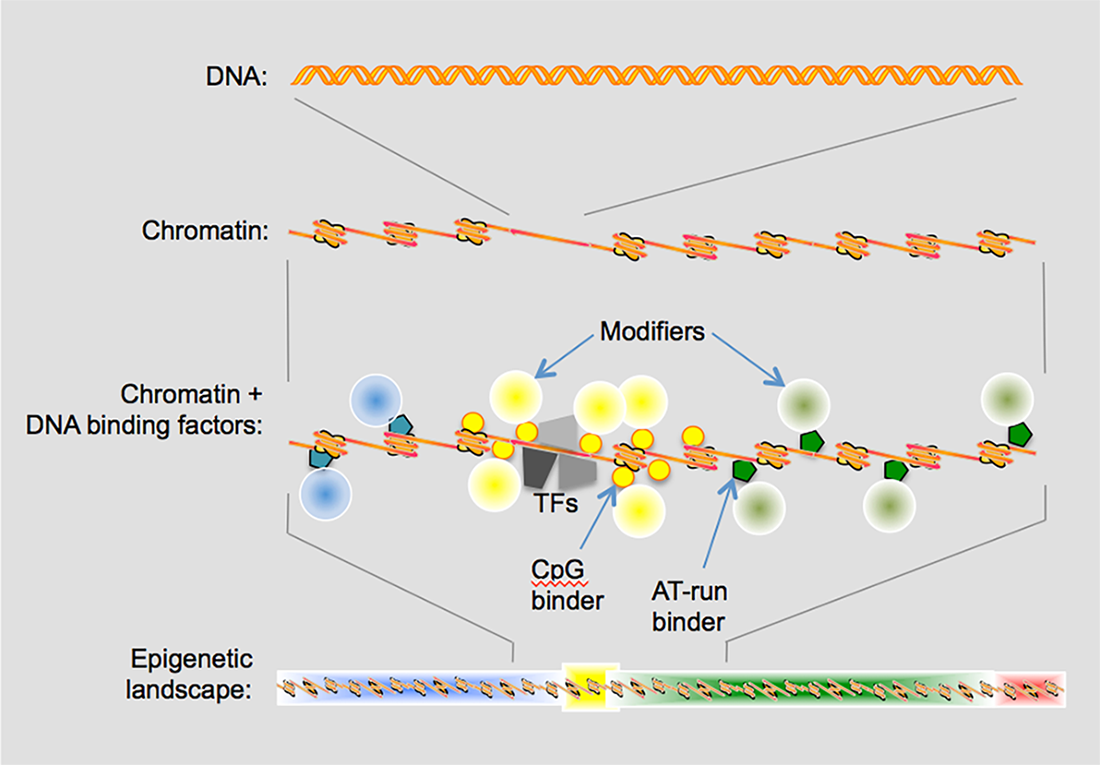 DNA Association illustration