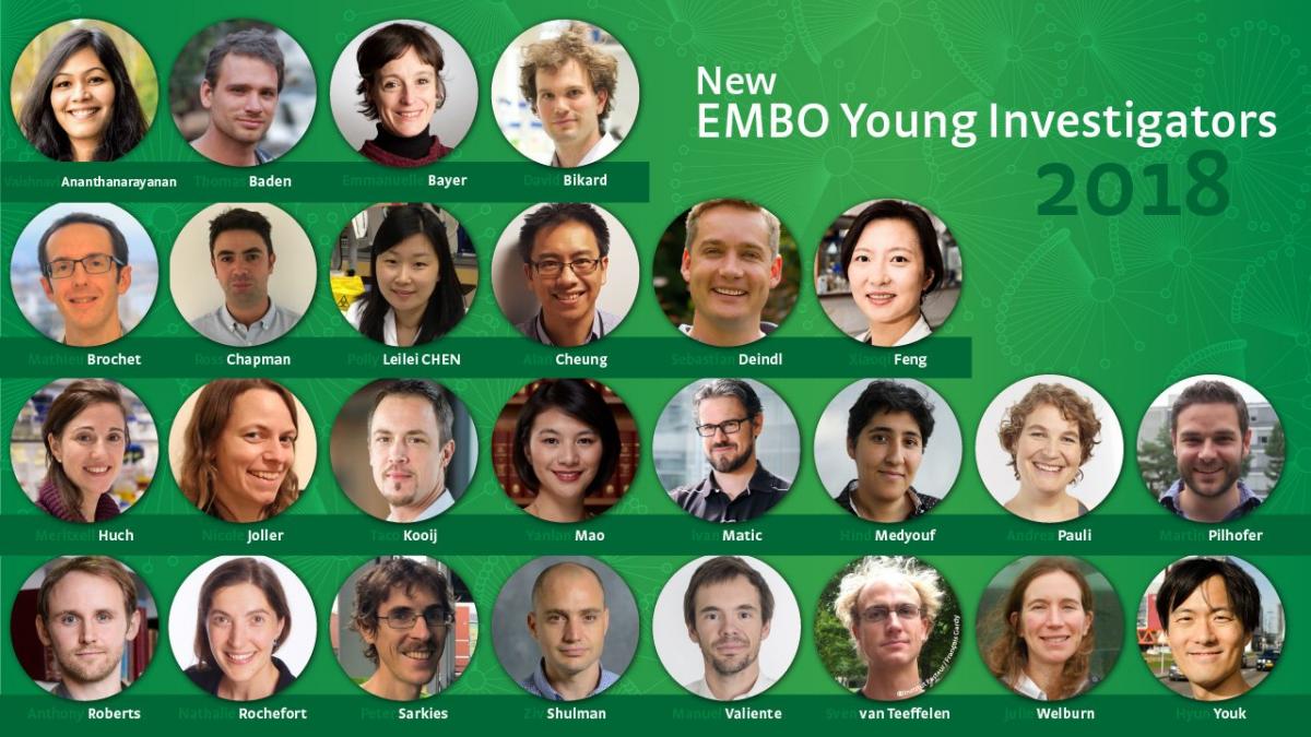 Photo of young EMBO investigators 2018