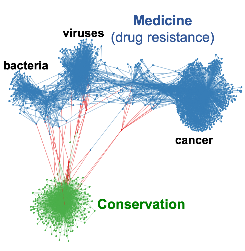 citation network for publications related to evolutionary rescue in conservation and medicine (drug resistance) applications