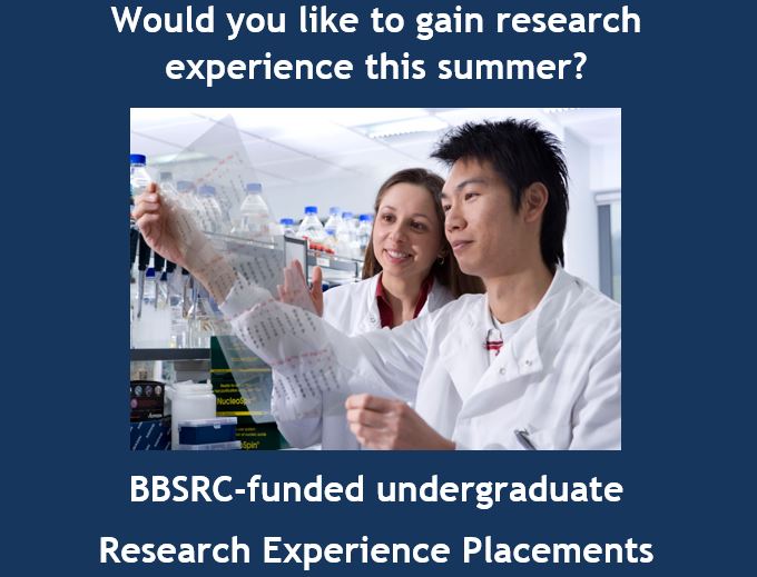 Photo of flyer, 2 researchers and text \"Would you like to gain research experience this summer? BBSRC-funded REP placements\"