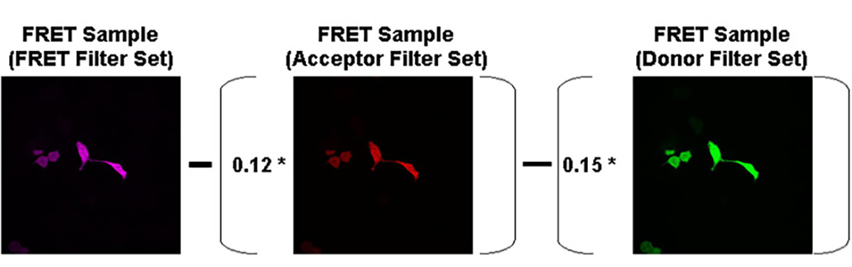 Sensitised Emission FRET