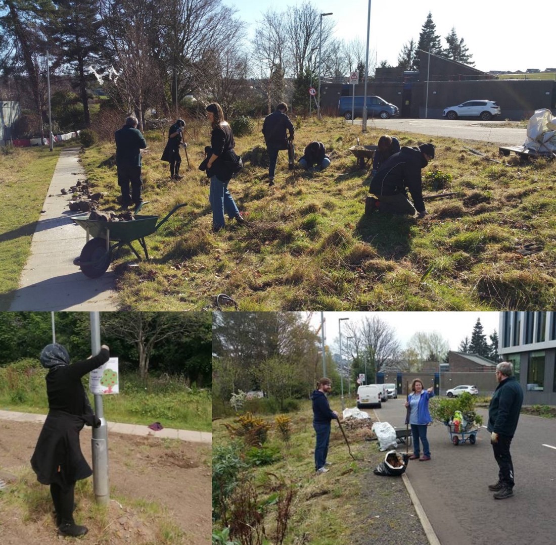 Collage of 3 images, team members clearing stones from the site, putting up posters about our project and digging up horsetails