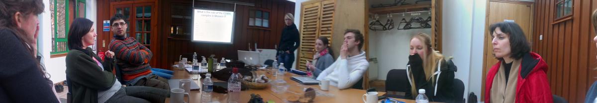 Panorma photo of the lab group sitting around a table indoors