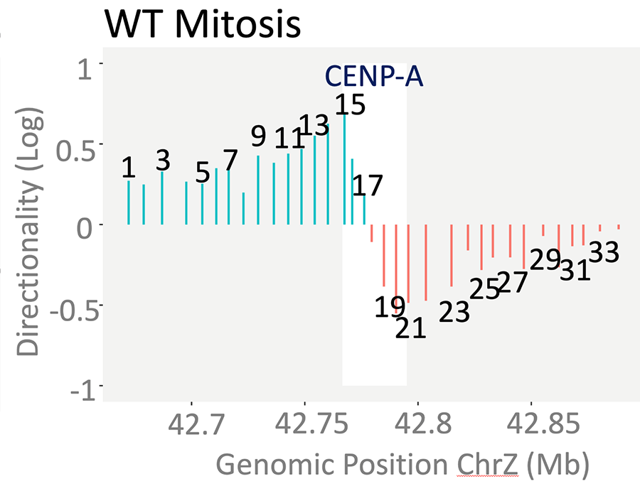 image for Earnshaw lab paper May 2024