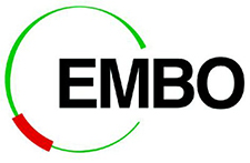 EMBO logo