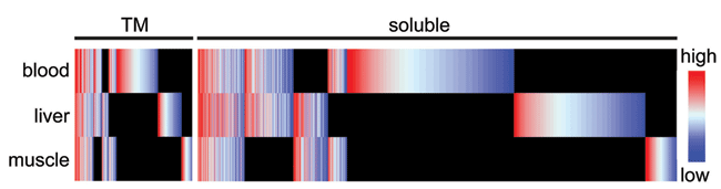 Image from Schirmer paper Nucleus 2012