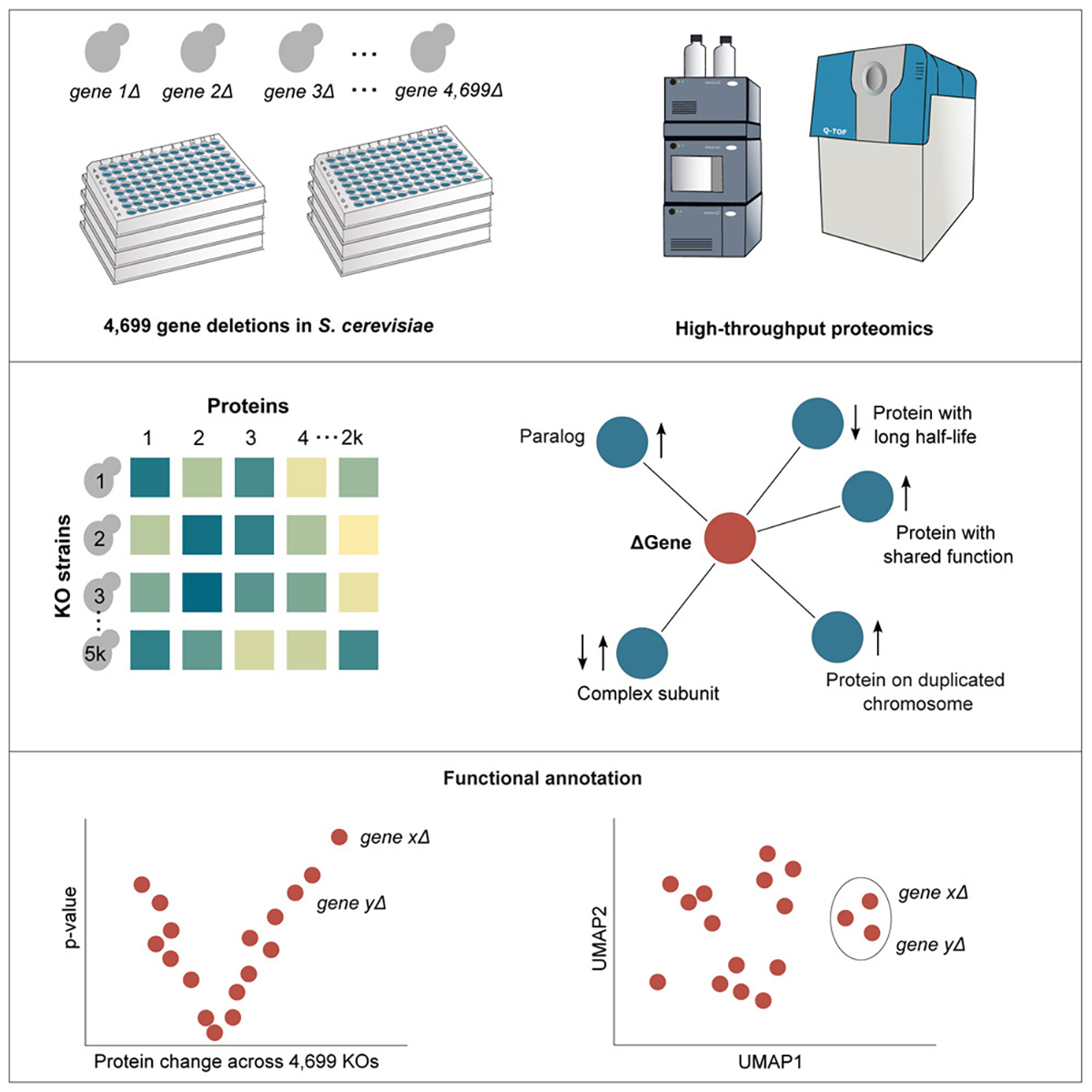 Research paper image, details in text