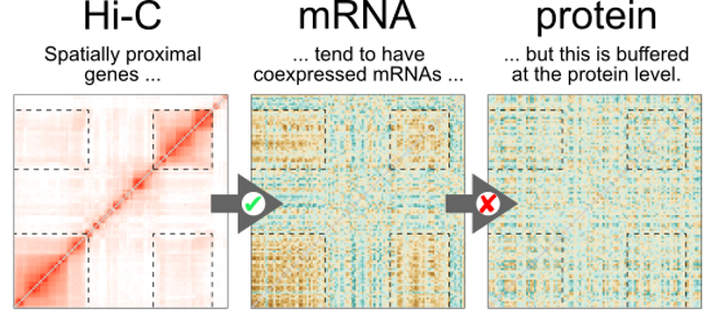 Image from Rappsilber paper, Molecular Systems Biology 2017