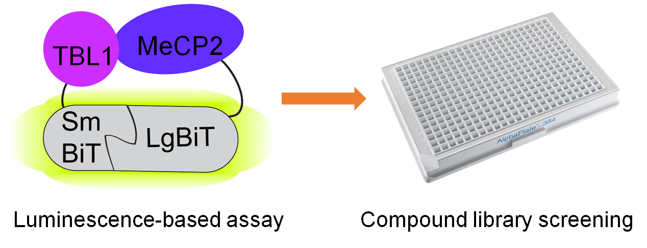 Research paper image, details in text