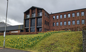 Photo of a University of Glasgow building with glass atriam set on a bank covered in dafodils