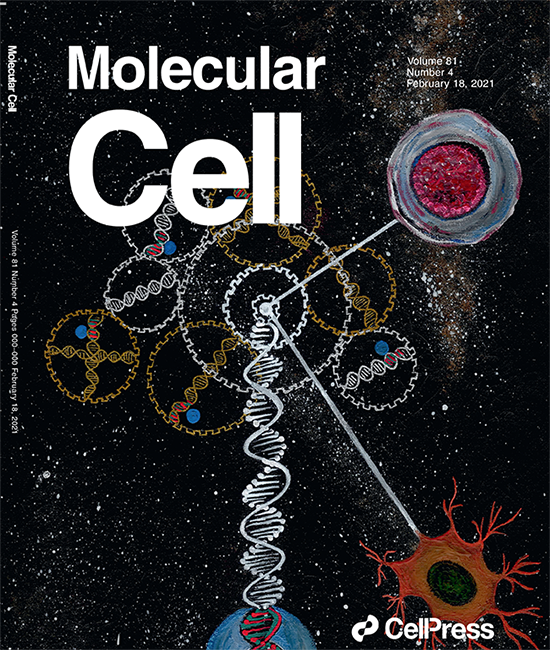 Image from Bird paper, Molecular Cell 2021