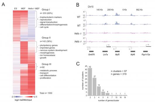 Image from paper, Genome Research 2011