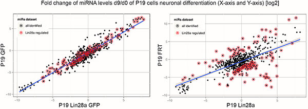 Image from RNA paper 2017