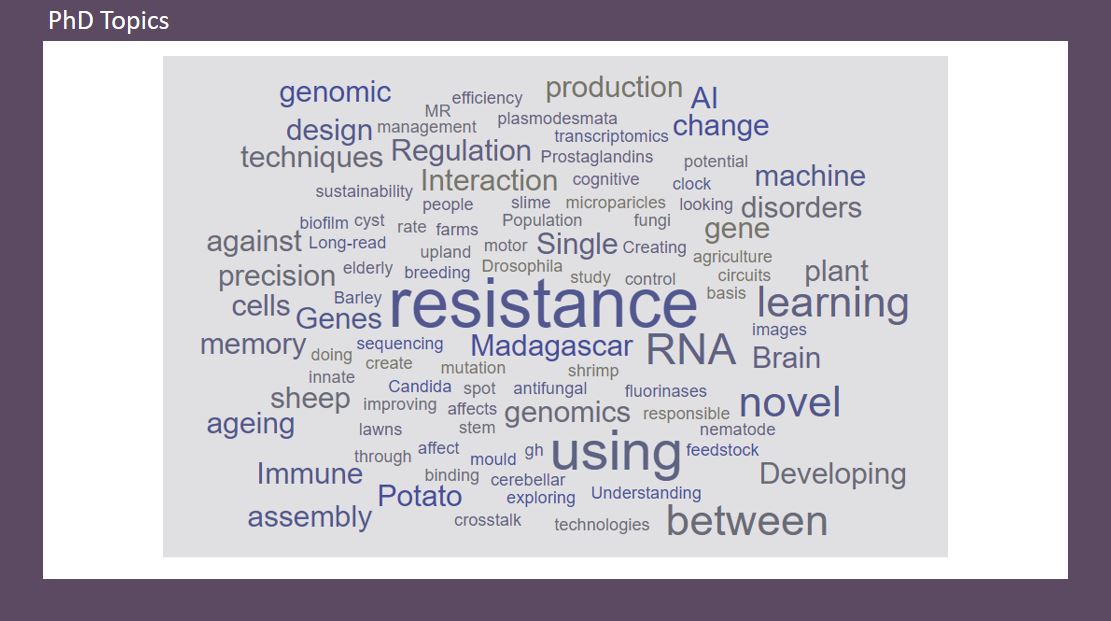 Image of a word cloud with PhD topics, including: resistance, RNA, learning, gene, novel, brain, cells