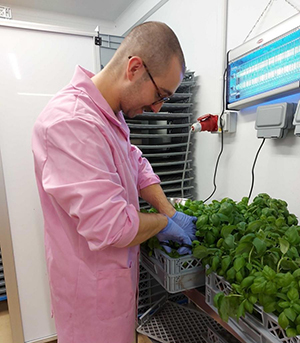 Photo of Phil in a pink lab coat working with plants in the lab