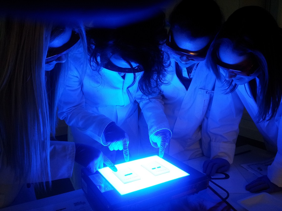 A Question of Taste is a full day hands-on polymerase chain reaction (PCR) workshop, run at the National Museum of Scotland.