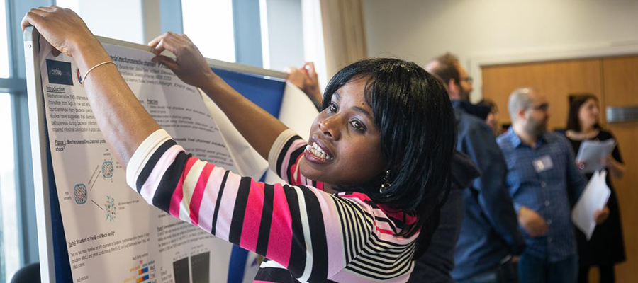 A student attaches a poster to a board for display