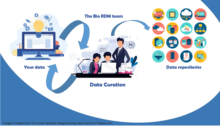 Research Data Management 