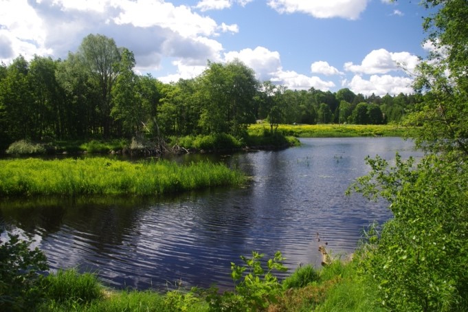 River Pirita in Tallinn