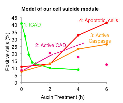 Image from Earnshaw paper, Journal Biological Chemistry 2014