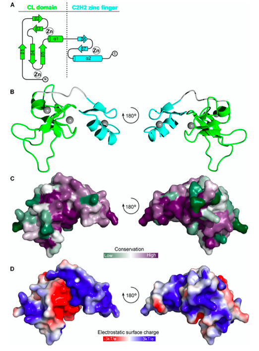 Research illustration from lab paper