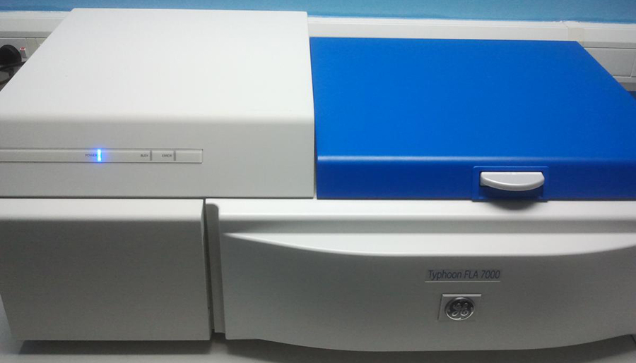 Photo of Typhoon Phosphorimager