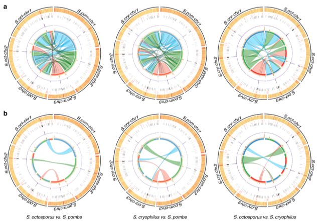 Image from Allshire paper, Nature Communications 2019