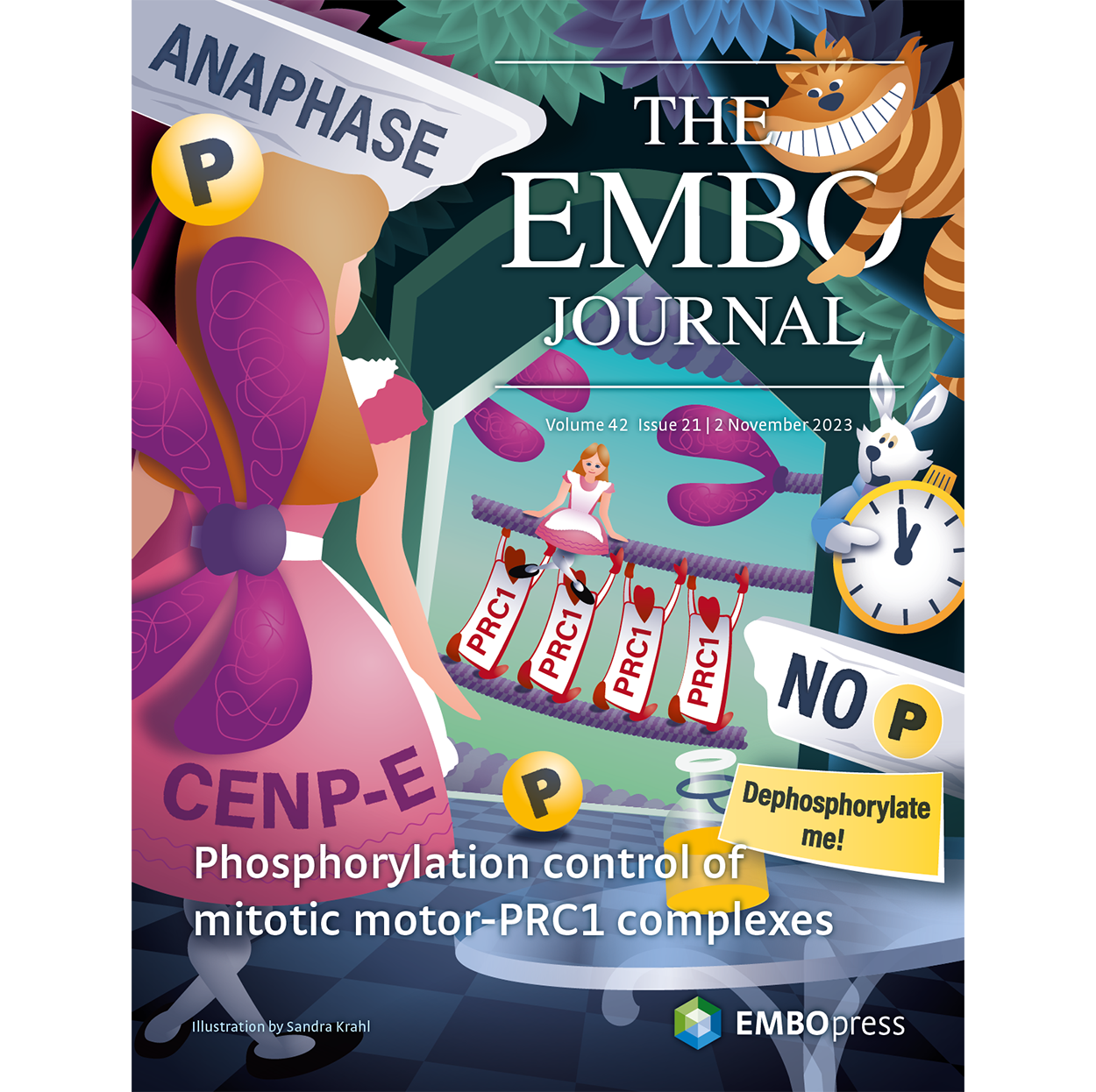 EMBO journal cover image, issue November 2023 featuring Welburn lab work