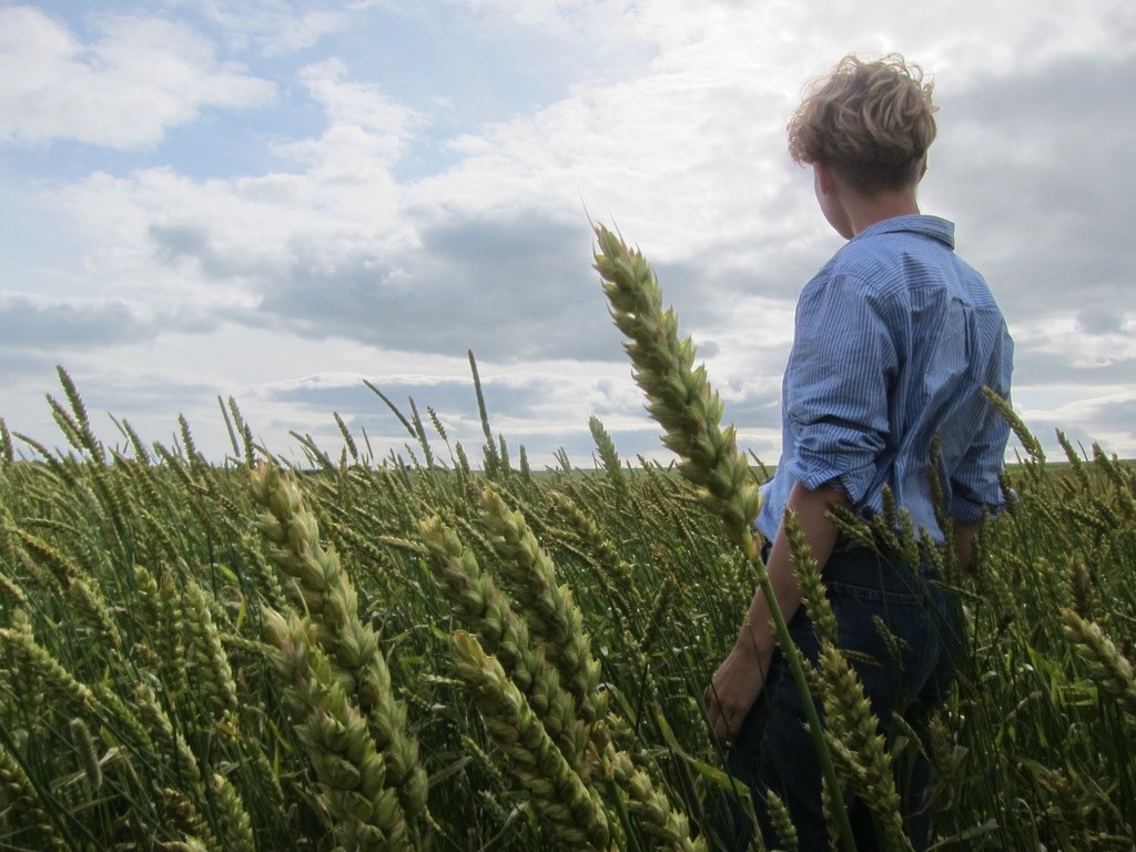 tara wight in a field